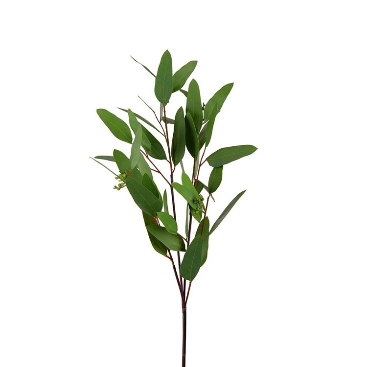 Eucalyptus grön, 80cm