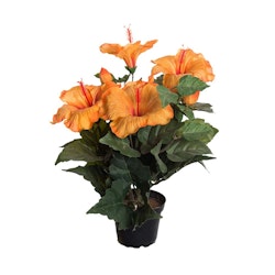 Hibiscus 36 cm Orange