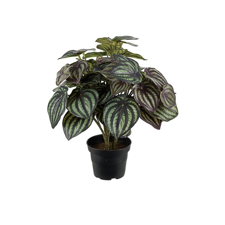 Konstgjord Peperomia 30cm