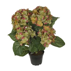 Hortensia 37cm Grön