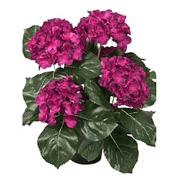 Hortensia 37 cm Cerise