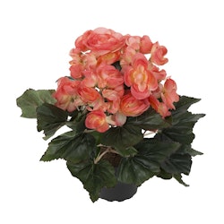 Konstgjord Begonia Orange