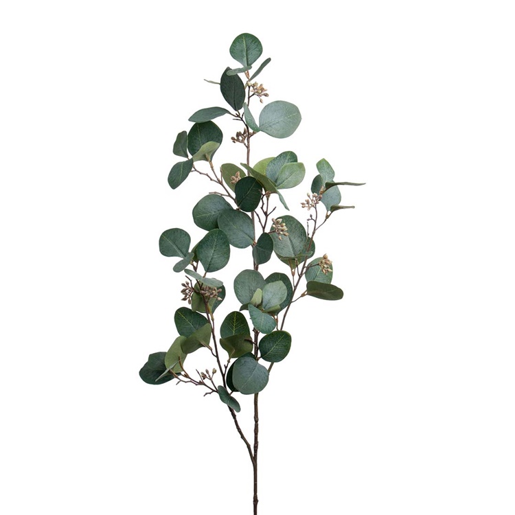 Eucalyptus med bär 100cm
