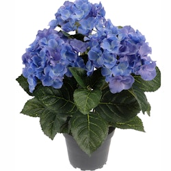 Konstgjord Hortensia 30cm Blå