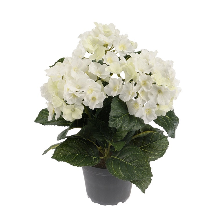 Konstgjord Hortensia 30cm Vit