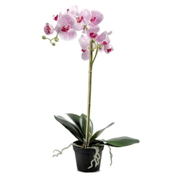 Konstgjord Phalaenopsis Lila spräcklig 55cm