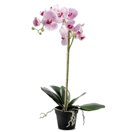 Konstgjord Phalaenopsis Lila spräcklig 55cm