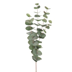 Eucalyptus grön 60cm