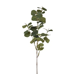Eucalyptus 70cm grön