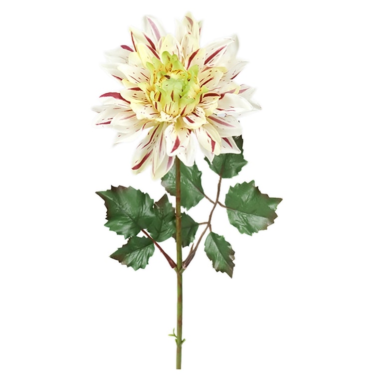 Konstväxt Dahlia Flerfärgad 45 cm