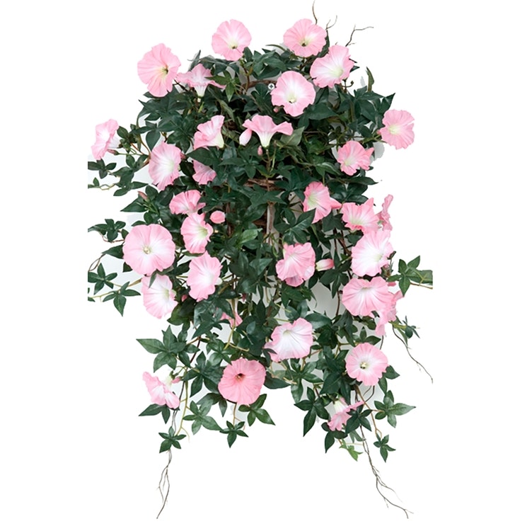 Blomman för dagen 60cm Rosa
