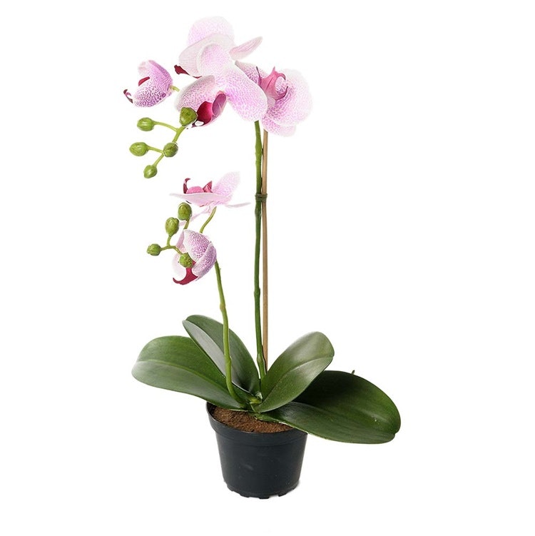 Konstgjord Phalaenopsis Rosa spräcklig