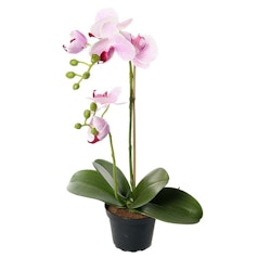 Konstgjord Phalaenopsis Rosa spräcklig