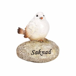 Fågel på sten