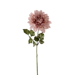 Konstväxt Dahlia Gammelrosa 45 cm