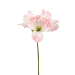 Konstgjord Amaryllis 63cm Rosa