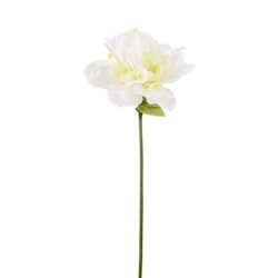 Konstgjord Amaryllis 63cm Vit