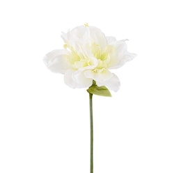 Konstgjord Amaryllis 63cm Vit