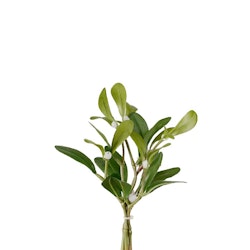 Konstgjord Mistel 18cm