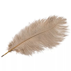 Strutsfjäder 35cm Mullvad