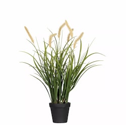 Konstgjord Dunborstgräs 56cm
