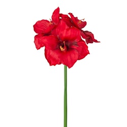 Konstgjord Amaryllis Röd