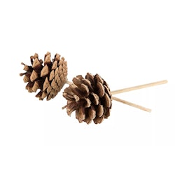 Tallkotte stick 2-pack