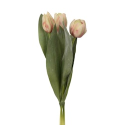 Konstgjord Tulpan 3-pack Persika
