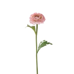 Ranuncel 35cm Rosa