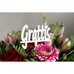 Grattis skylt/stick