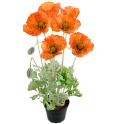 Konstgjord Vallmo Orange 45cm