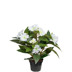 Lyckliga Lotta Vit 30cm