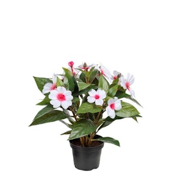 Lyckliga Lotta Vit/Rosa 30cm