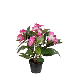 Lyckliga Lotta Rosa 30cm