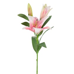 Lilja Rosa 90cm