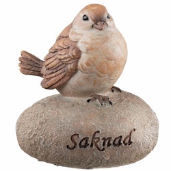 Fågel på sten