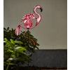 Flamingo Solcell