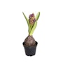 Konstgjord Hyacint Lila