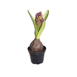 Konstgjord Hyacint Lila
