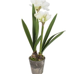 Konstgjord Amaryllis 90 cm Vit