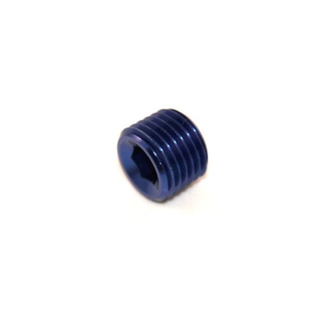 Insexplugg - 1/4" NPT