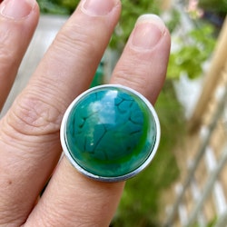 Ring virvlar
