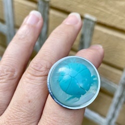 Ring virvlar