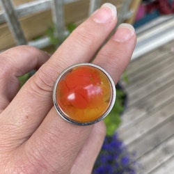 Ring virvlar