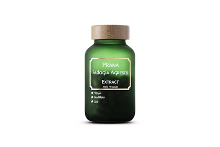 Fadogia Agrestis - 90 kapsler