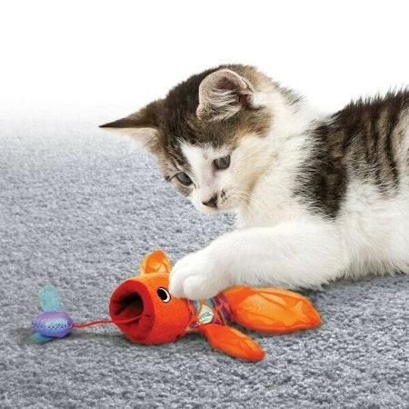 KONG Leksak Crackles Gulpz Orange 20cm