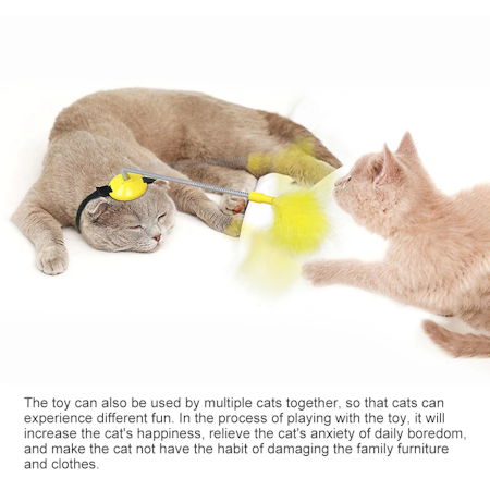 Cat teaser toy fjäder