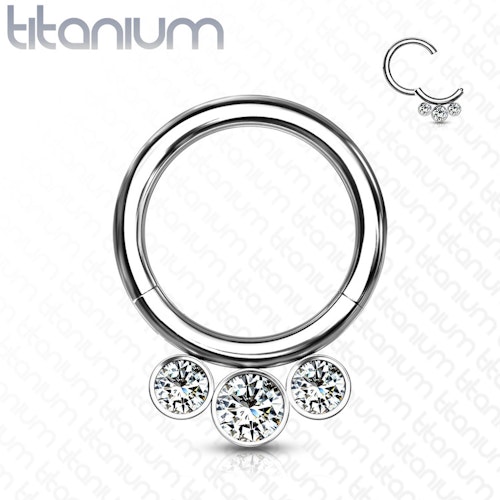 Septum segmentring i titanium med gångjärn 1.2mm och 3st crystals