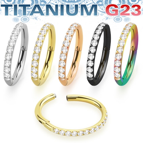 Titanium ring 1.2mm med gångjärn och CZ stenar på ytterkanten