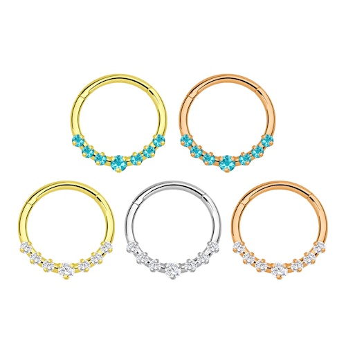 Segmentring 1.2mm i titanium med gångjärn och CZ crystals